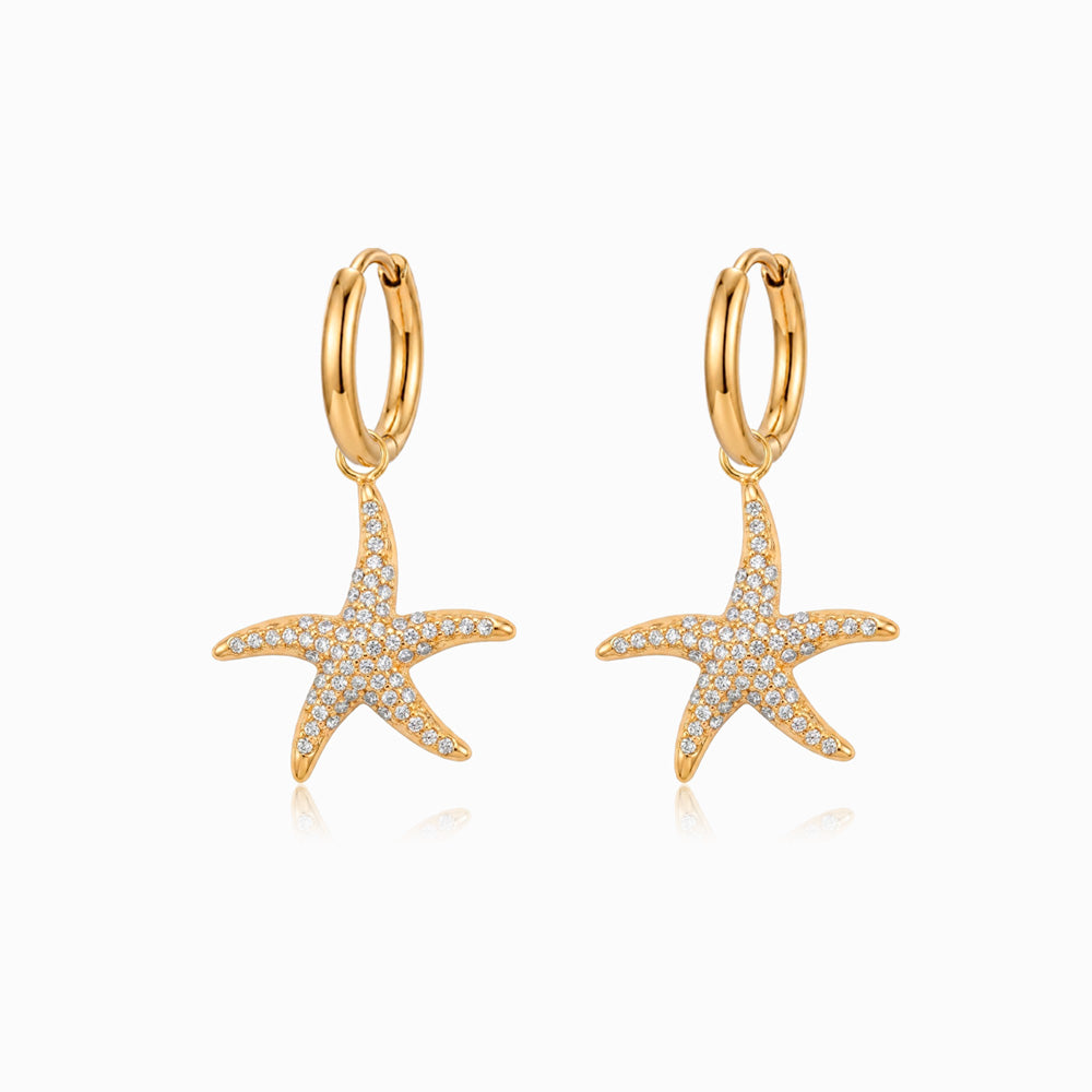 Brincos Estrela do Mar BR3074 - Aço Inox