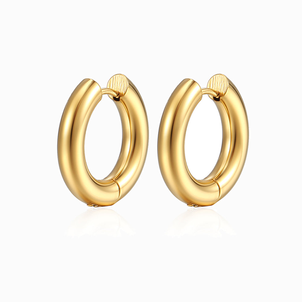 Brincos Argola 4x10mm BR1074 - Aço Inox