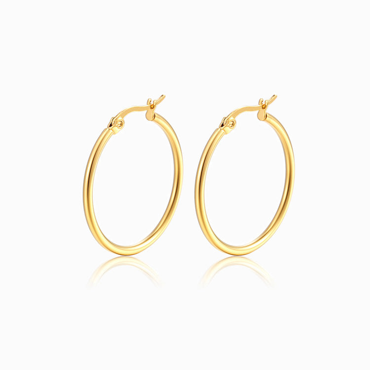Brincos Argola 20mm BR3026 - Aço Inox Dourado