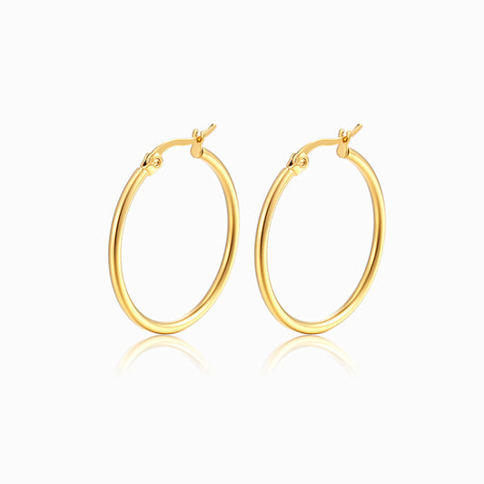 Brincos Argola 20mm BR3026 - Aço Inox Dourado