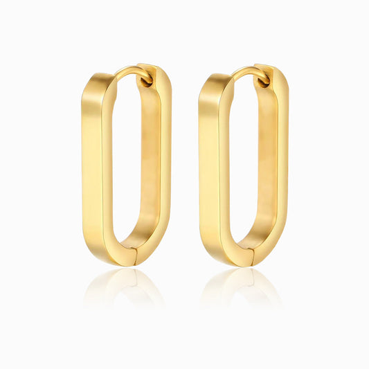 Brincos 21x14mm BR1306 - Aço Inox Dourado