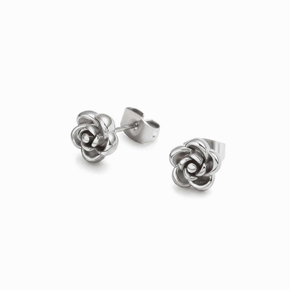 Brincos BR1805P-DSR025 - Aço Inox