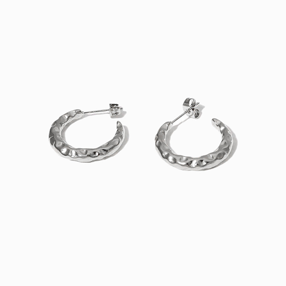 Brincos C 22x22mm BR1142 - Aço Inox Prateado