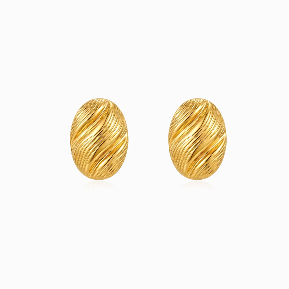 Brincos Geométricos 20x15mm BR1918D-JPR080 - Aço Inox