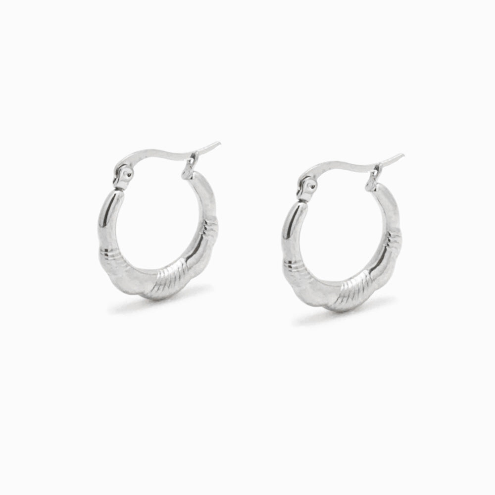 Brincos BR3006 - Aço Inox Prateado