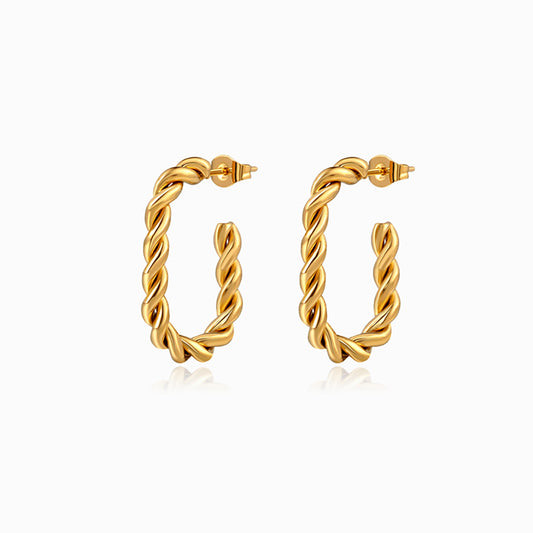 Brincos Torcidos 24x16mm BR1136 - Aço Inox Dourado