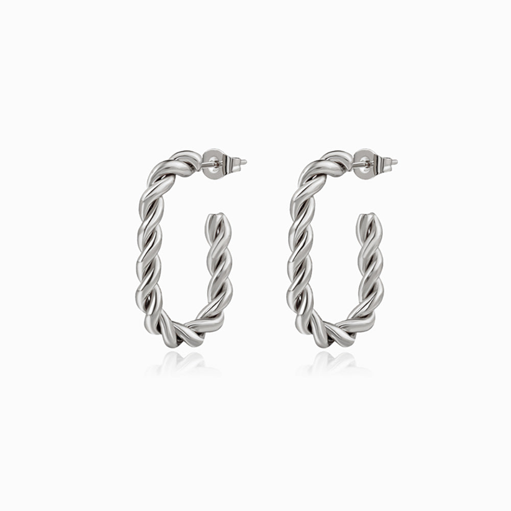 Brincos Torcidos 24x16mm BR1136 - Aço Inox Prateado