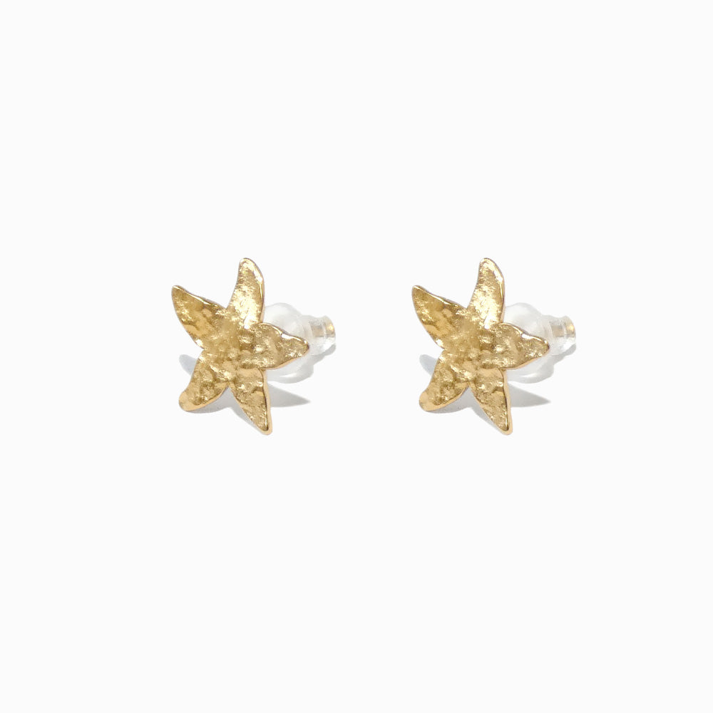 Brincos Verão Estrela do Mar BR1774D-MBE013 - Aço Inox