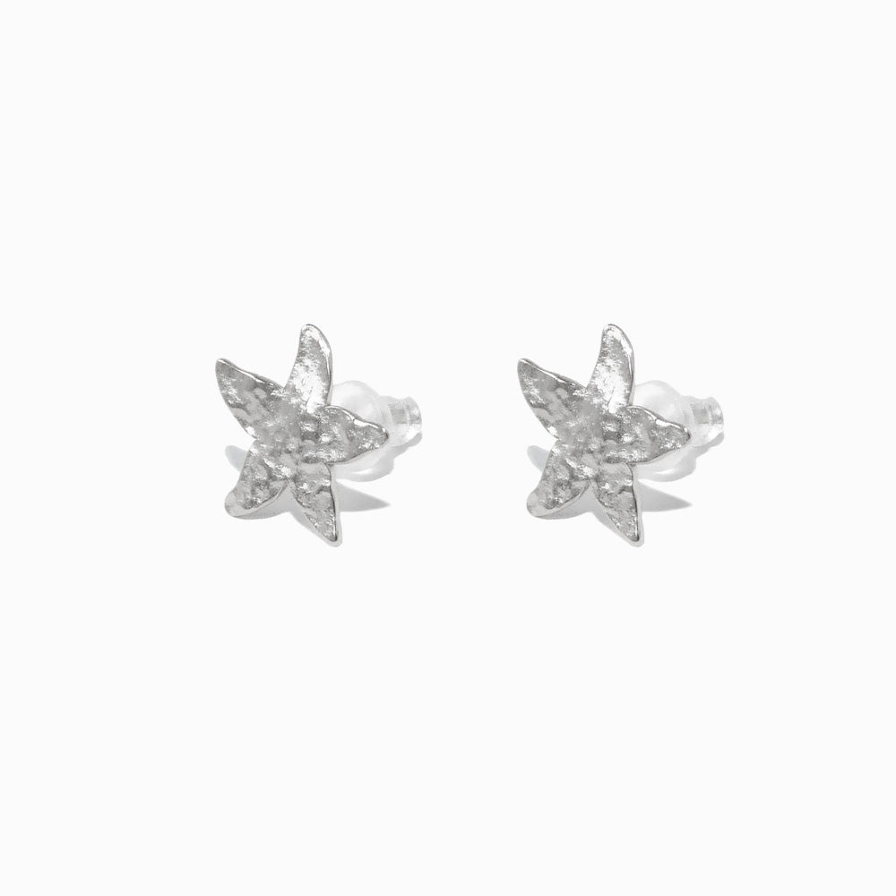 Brincos Verão Estrela do Mar BR1774P-MBE013 - Aço Inox