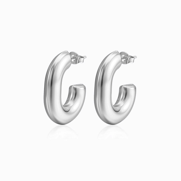Brincos C 28x23mm BR1027 - Aço Inox Prateado