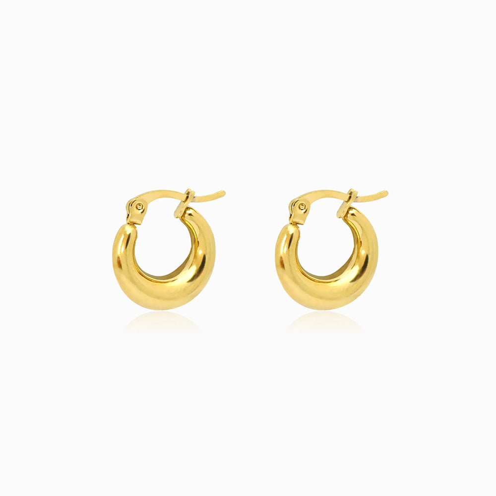 Brincos de Argola 17x15mm BR3055 - Aço Inox Dourado