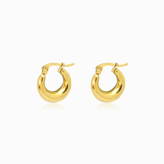 Brincos de Argola 17x15mm BR3055 - Aço Inox Dourado