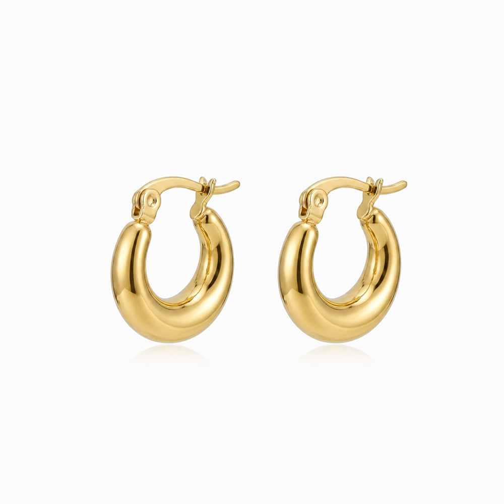 Brincos de Argola 17x15mm BR3055 - Aço Inox Dourado