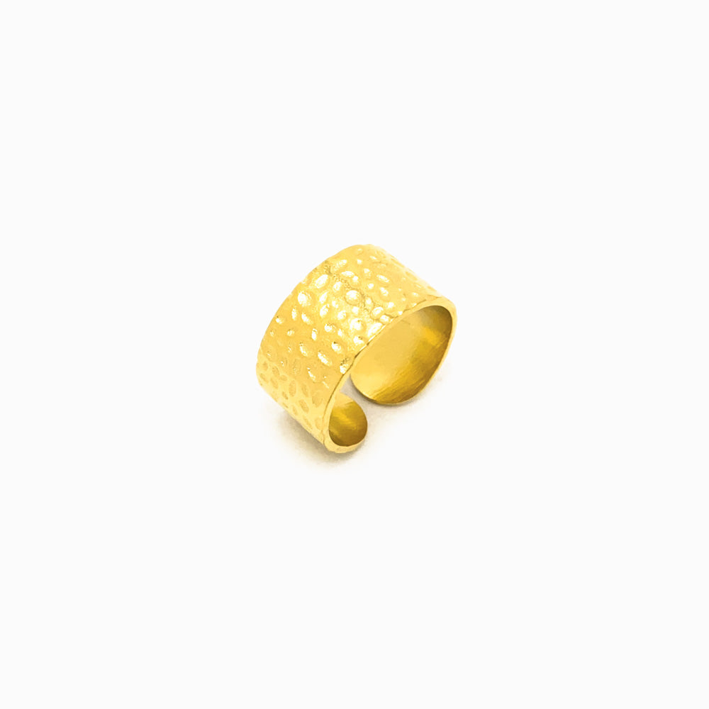 Anel Ajustável JZ1123 - Aço Inox Dourado