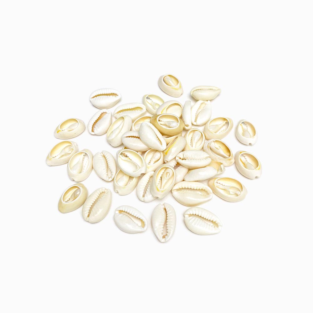 Pack 100g Búzios para Artesanato Brancos 1.8cm