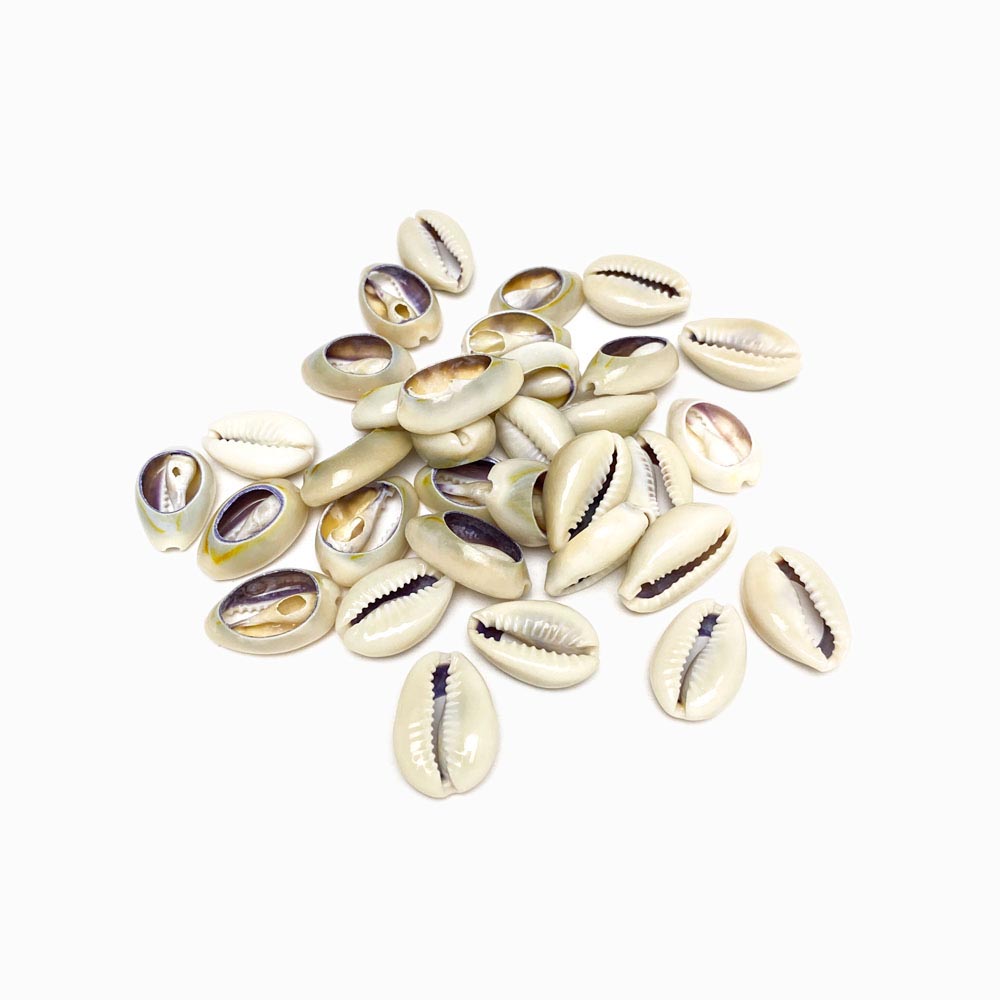 Pack 100g Búzios para Artesanato 2cm
