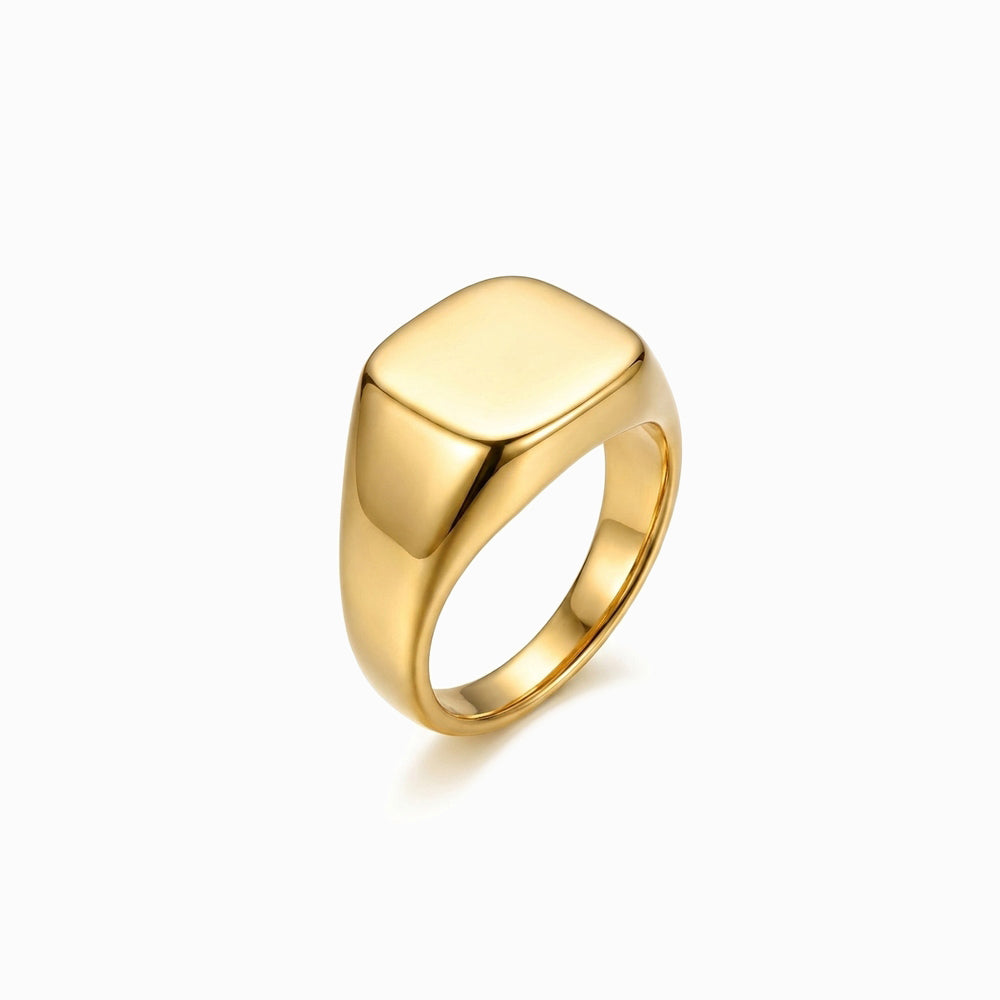Anel de Selo Masculino JZ5019D-JBR080