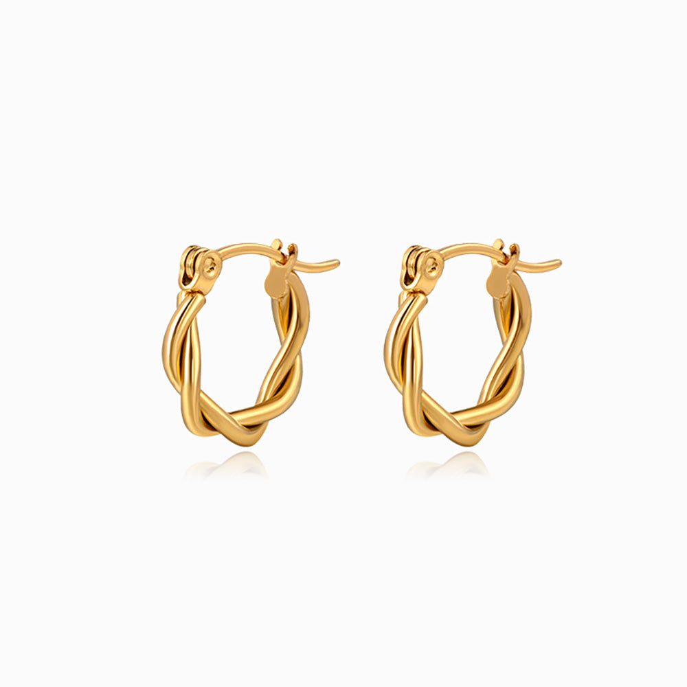 Brincos de Argola 17x17mm BR1388 - Aço Inox Dourado