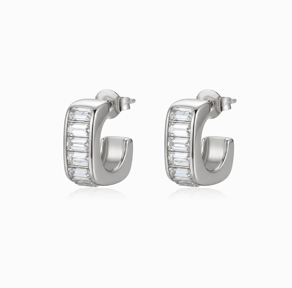 Brincos de Argola 15x14mm BR1541 - Aço Inox Prateado