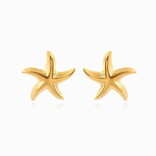 Brincos Estrela do Mar 25x24mm BR1378 - Aço Inox Dourado