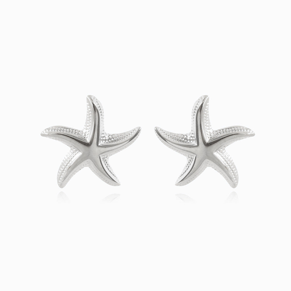 Brincos Estrela do Mar 25x24mm BR1378 - Aço Inox Prateado