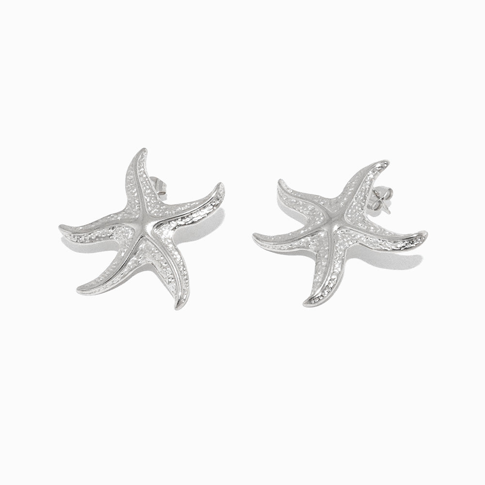 Brincos Estrela do Mar 35x35mm BR1395 - Aço Inox Prateado
