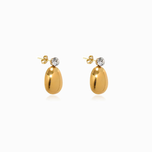 Brincos Geométricos 20x11mm BR1411 - Aço Inox Dourado