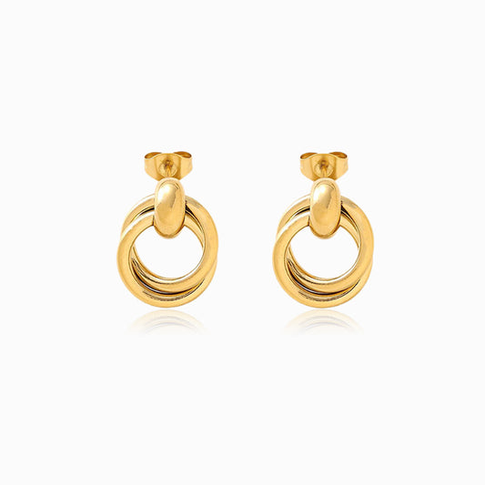 Brincos Geométricos 17x13mm BR1481 - Aço Inox Dourado