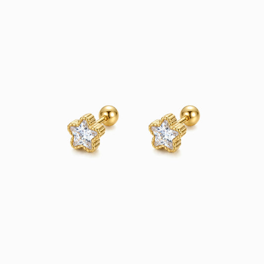 Brincos Estrela 8.3x8mm BR1851D-OJR065 - Aço Inox