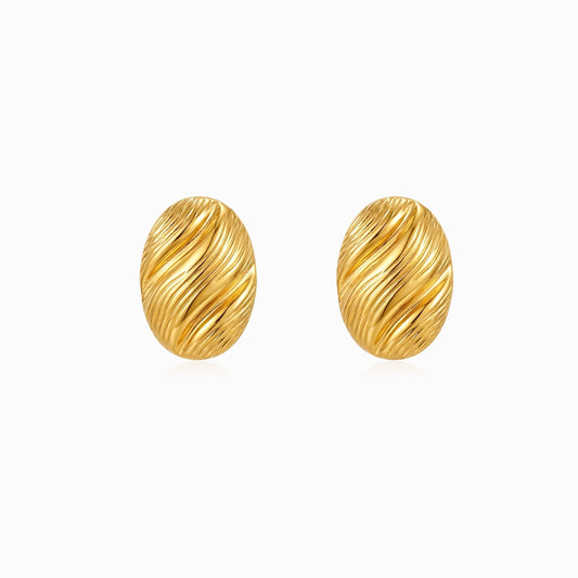 Brincos Geométricos 20x15mm BR1918D-JPR080 - Aço Inox
