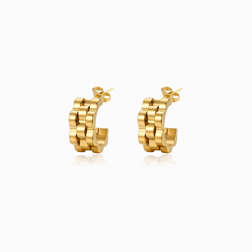 Brincos de Argola 15x14mm BR3130D-FFE016 - Aço Inox