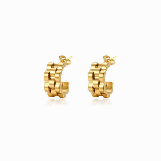 Brincos de Argola 15x14mm BR3130D-FFE016 - Aço Inox