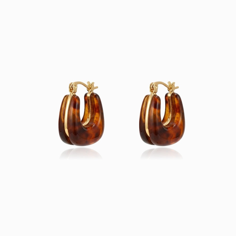 Brincos de Argola 21x16mm BR3164D-FOE015 - Aço Inox com Resina