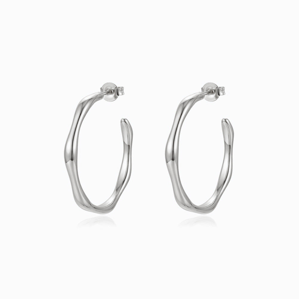 Brincos de Argola BR1913P-JPR062 - Aço Inox