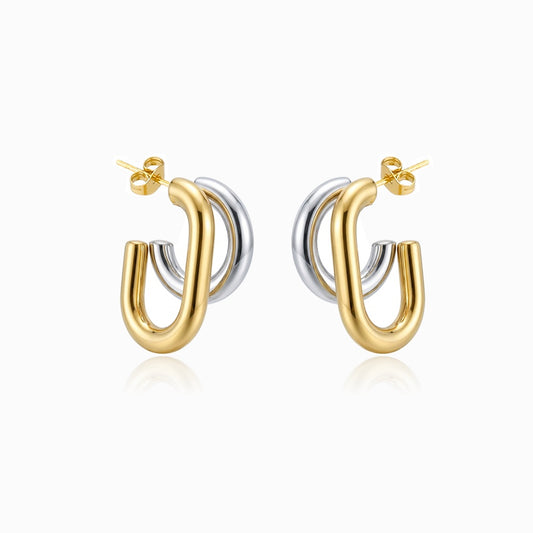 Brincos de Argola Bicolor 28x18mm BR3139D-FFE018 - Aço Inox