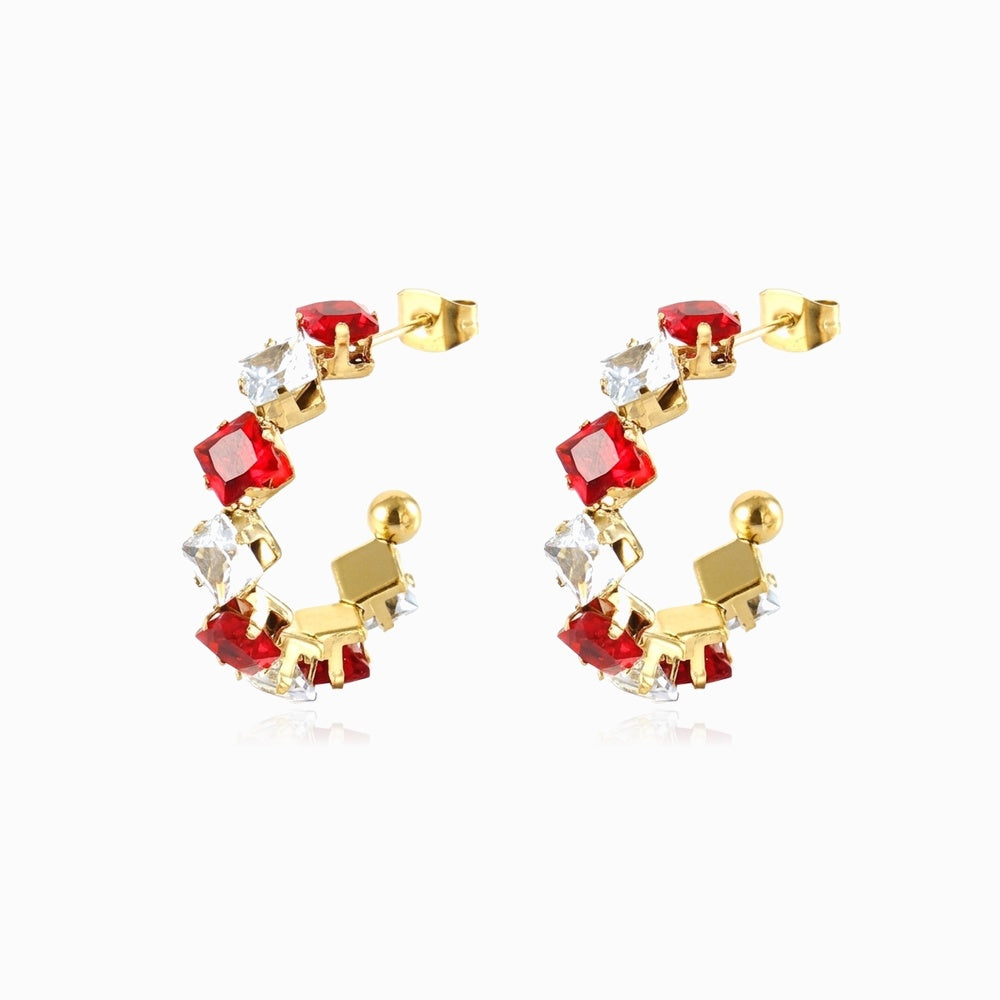 Brincos de Argola com Zircónia BR1910F-ZXR110 - Aço Inox