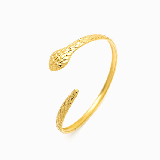 Bracelete Masculina Aço Inox Dourado SZ1016