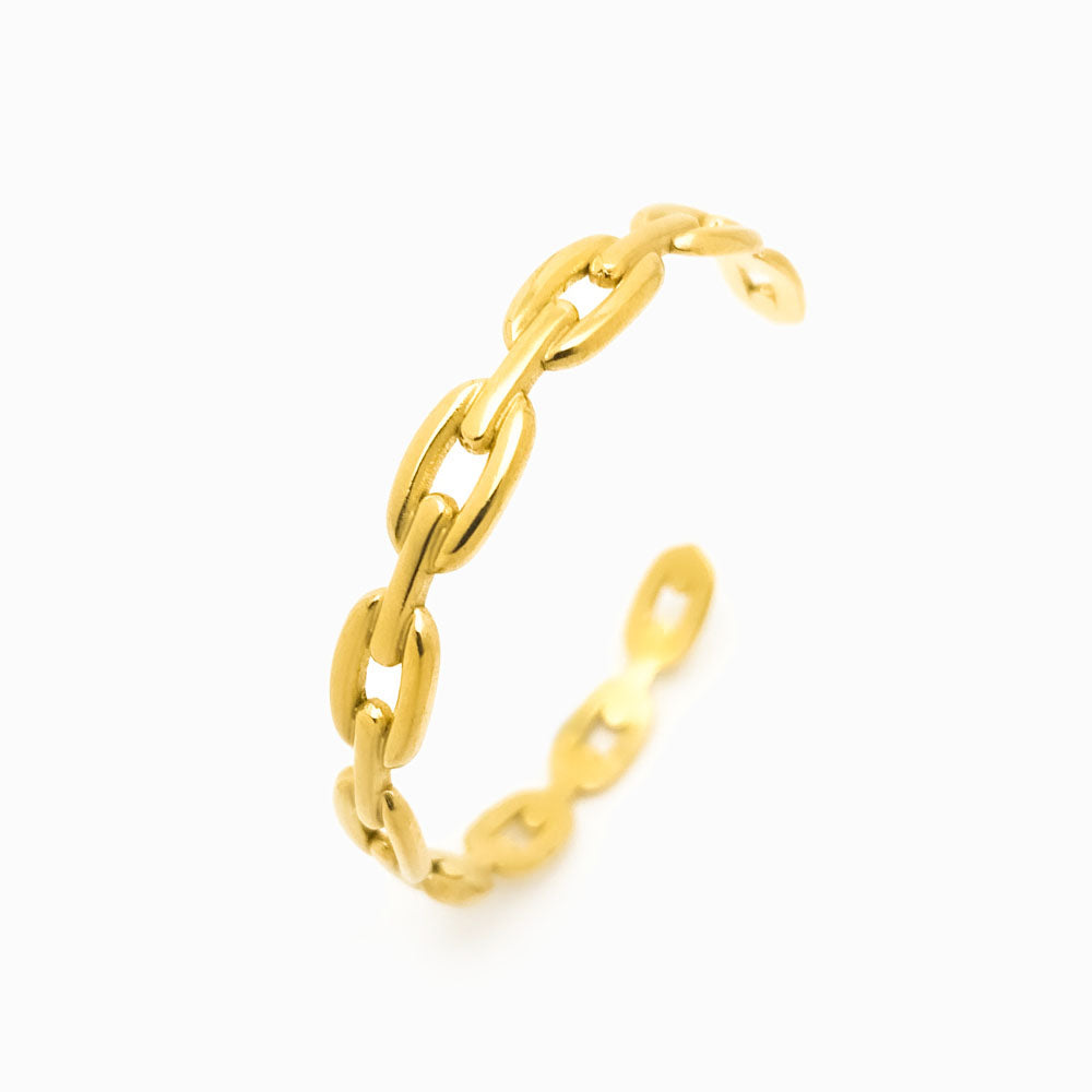 Bracelete Masculina Aço Inox Dourado SZ1024