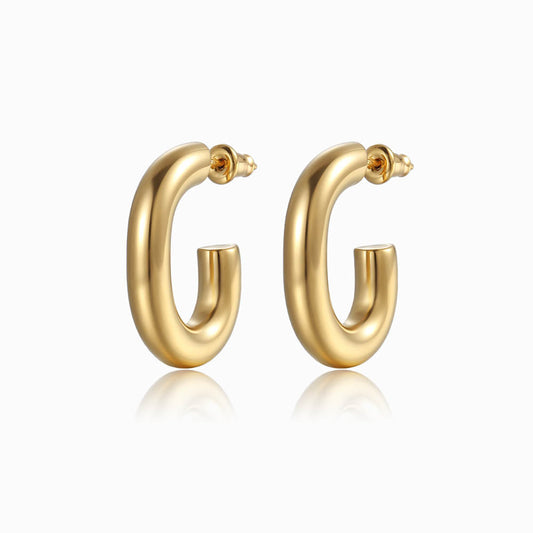 Brincos 26x18mm BR1040 - Aço Inox Dourado